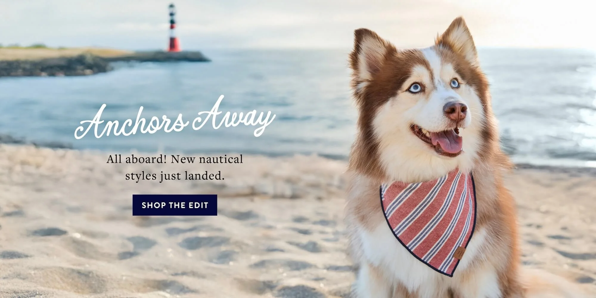 Modern Style for Modern Pets